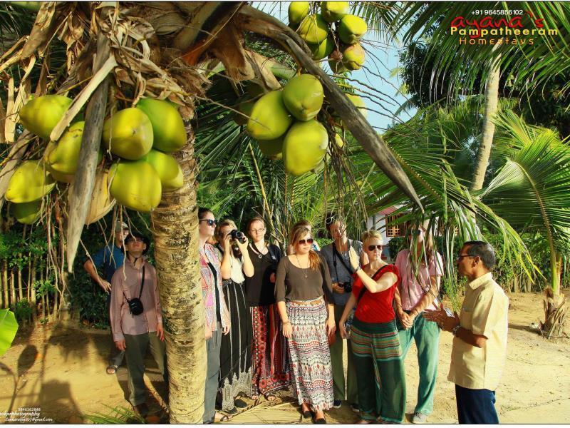 Ayana'S Homestay Alappuzha Exteriér fotografie