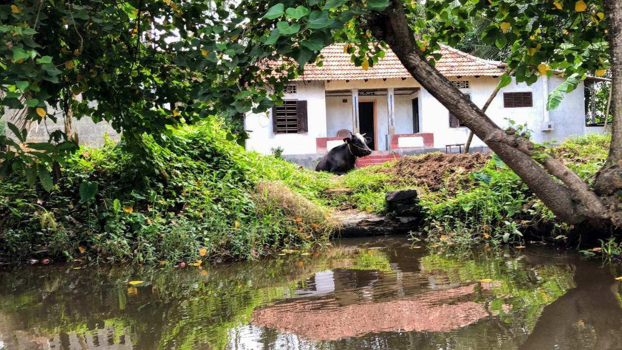 Ayana'S Homestay Alappuzha Exteriér fotografie